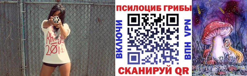 купить наркотик  Новотроицк  Псилоцибиновые грибы MAGIC MUSHROOMS 