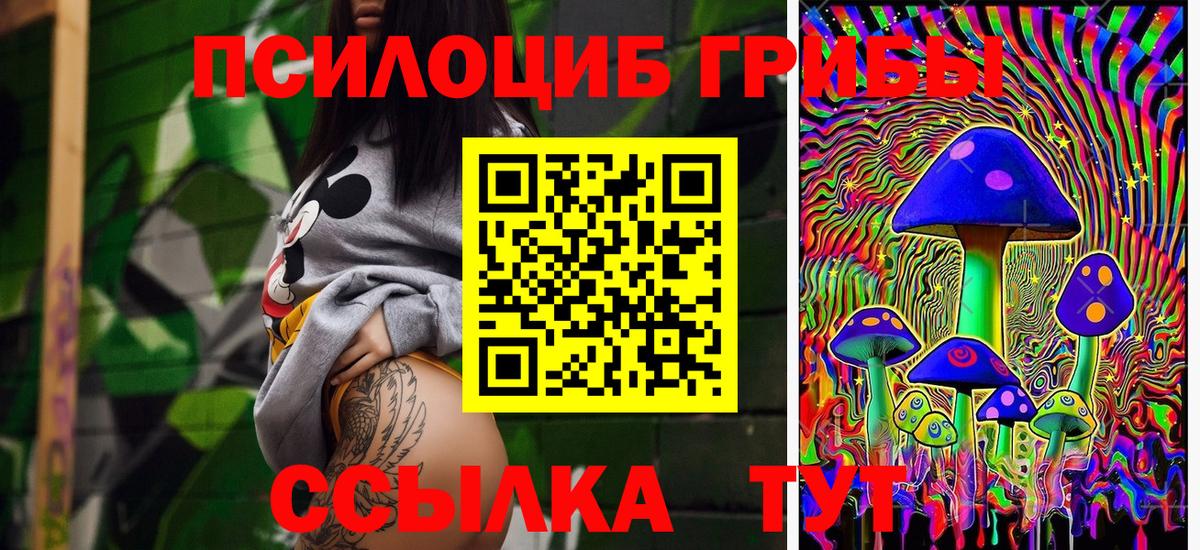 Псилоцибиновые грибы мицелий Новотроицк